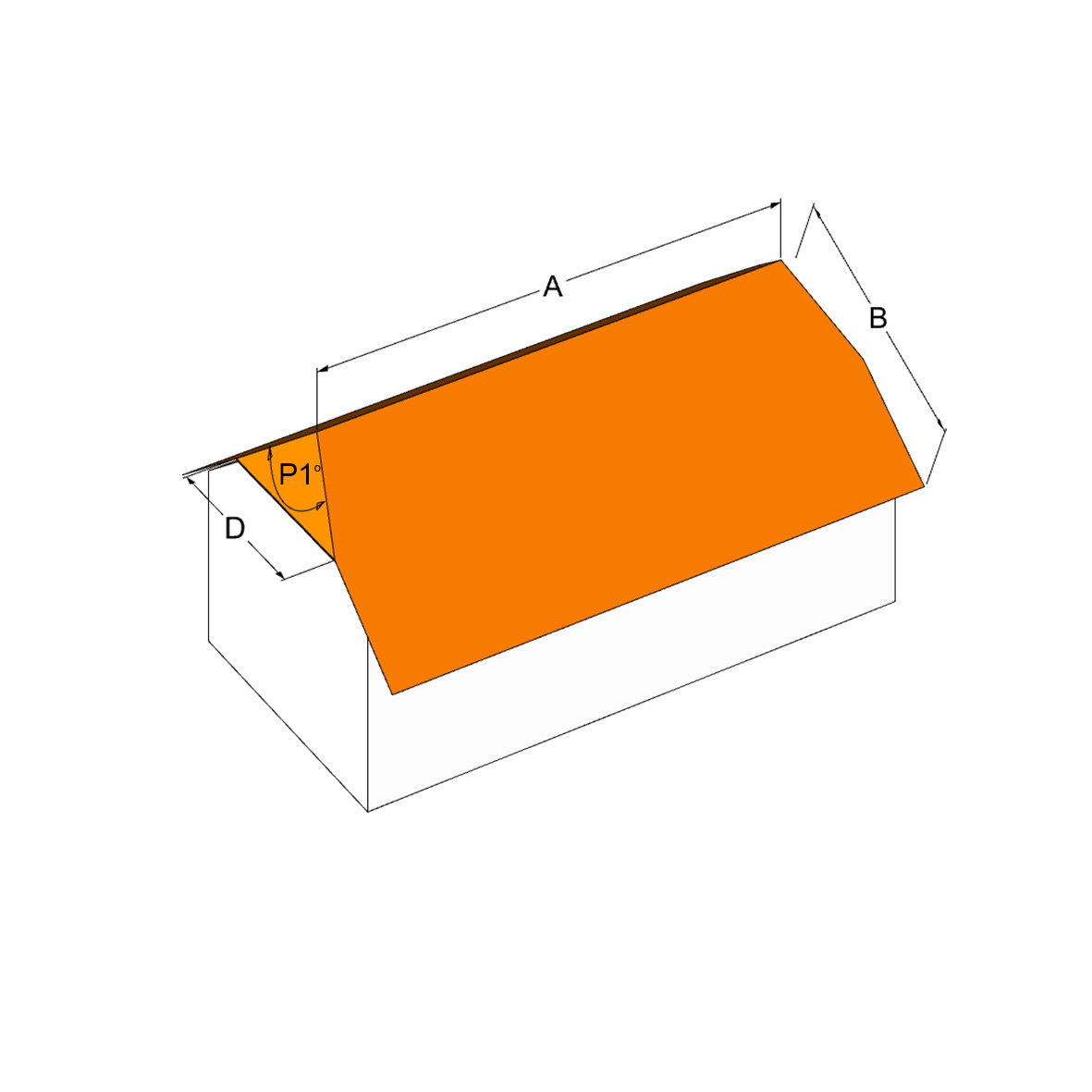 21. Jerkinhead Roof